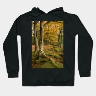 Brathay Woods #2 Hoodie